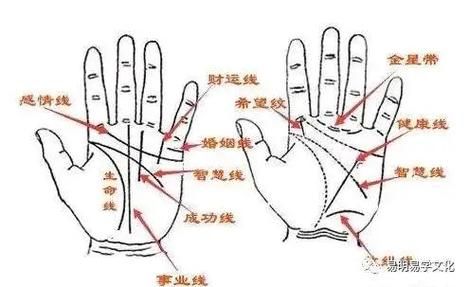 财运线有很多条图解_哪条最准