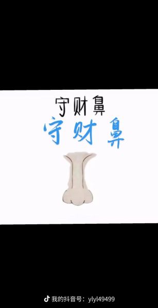 鼻子大的人财运好吗_鼻子大小与财富关系