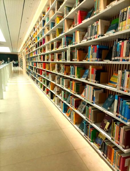 梦到图书馆是什么意思_梦见图书馆找不到书