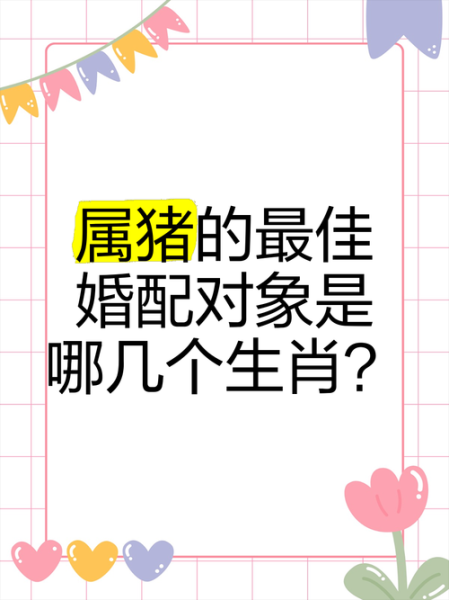 猪是什么属相的幸运属相_属猪最旺的生肖配对