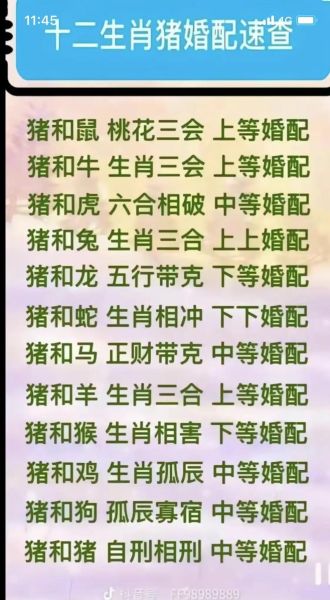 龙男和猪女合婚吗_龙男猪女配对优缺点