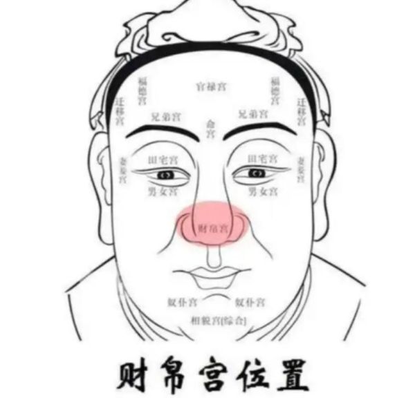 鼻梁影响财运么_鼻梁高低与财富关系