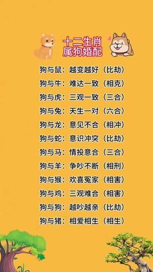 属狗和什么属相不配_属狗最忌哪些生肖