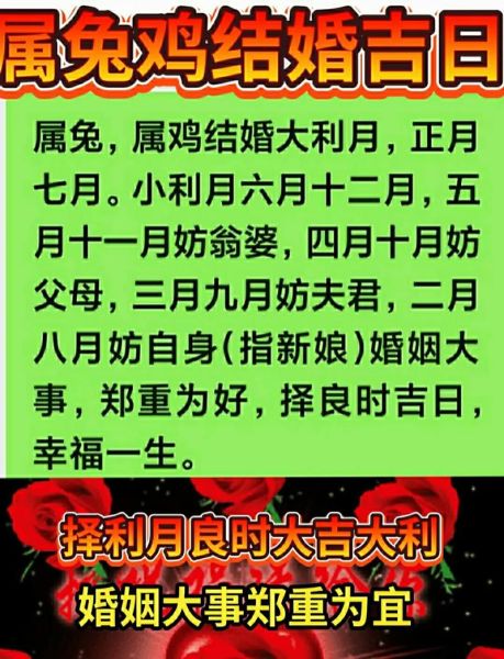 鸡兔属相结婚好吗_鸡兔婚姻如何化解