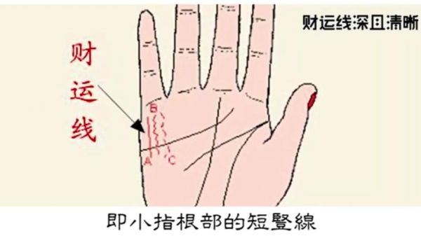 看手相哪条是财运线_手相财运线怎么看