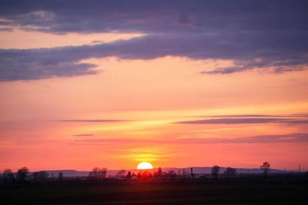 梦到妈离婚是什么意思_梦见母亲离婚预示什么