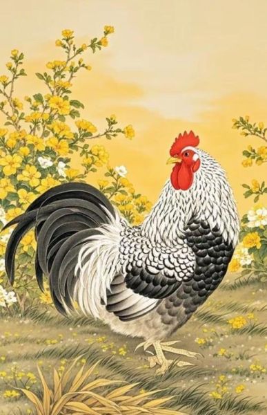 鸡属相2017年运势_属鸡人2017年财运如何