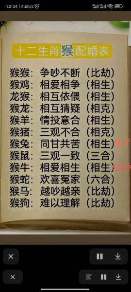 猴子跟什么属相最配_猴子跟什么属相相冲