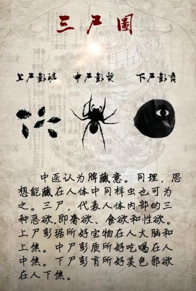 梦到三条虫_是什么预兆