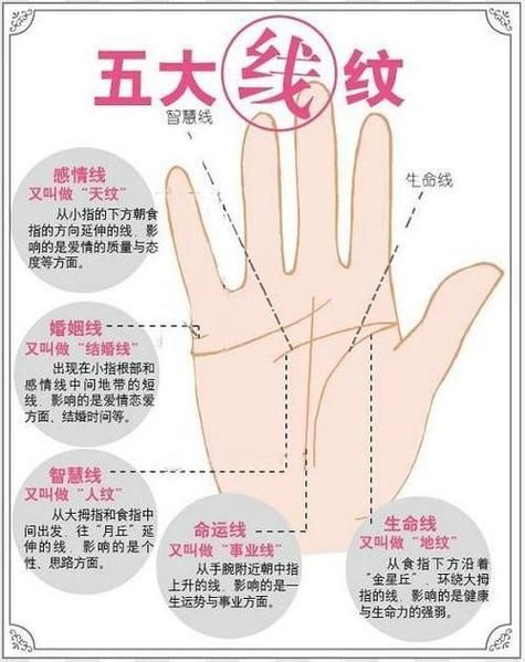 身体特征看财运_面相手相哪个准