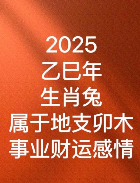 羊年兔运势如何_2025年财运事业感情全解析