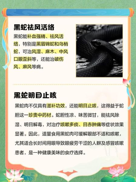 黑蛇属相性格特点_黑蛇年出生的人命运如何