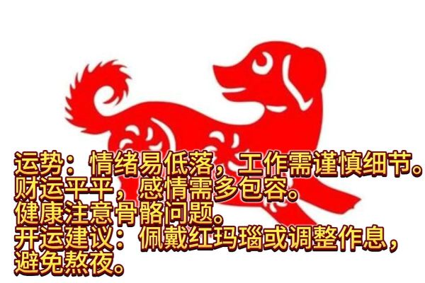 龙狗财运不好怎么办_属龙属狗如何转运