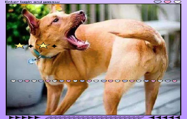 梦到狗生人是什么意思_狗生人梦境解析