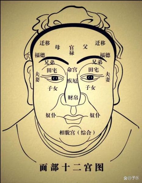 看脸有财运是真的吗_面相与财富关系