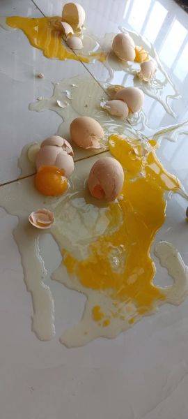 梦到鸡蛋碎了是什么意思_梦见鸡蛋破了预示什么