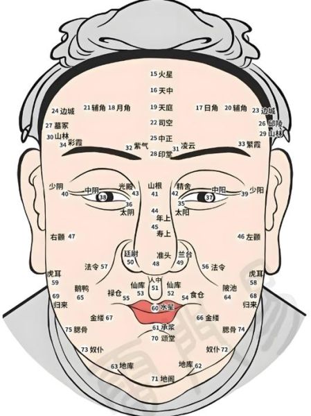 面相怎么看财运_面相断财运准吗