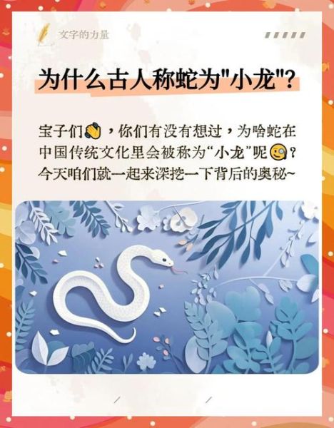 梦到龙和蛇是什么意思_龙蛇同梦预示什么