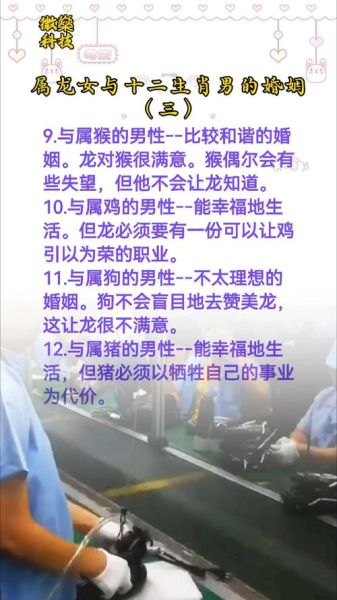 龙龙属相配吗_属龙和属龙婚姻如何