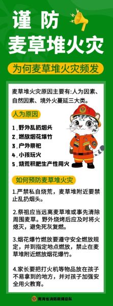 梦到麦地着火是什么意思_如何化解