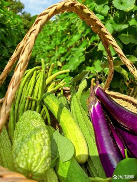 梦到摘茄子是什么意思_茄子梦境解析