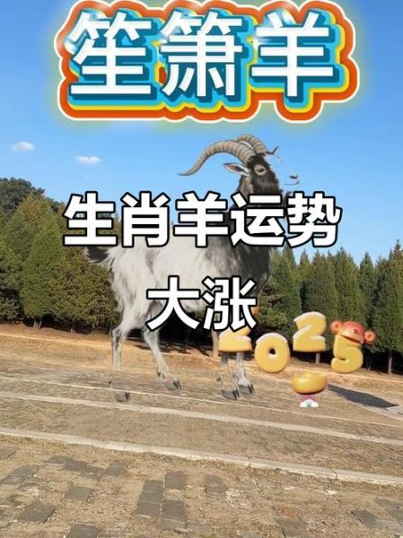 属羊2019年运势如何_2019年属羊人全年运程详解