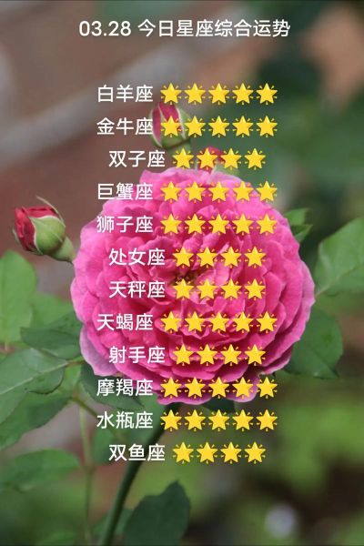 白羊座女六月运势_如何提升桃花运