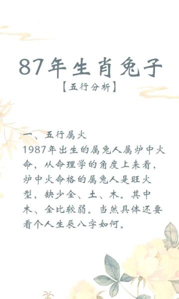 1987年属兔财运如何_2024年财运提升方法