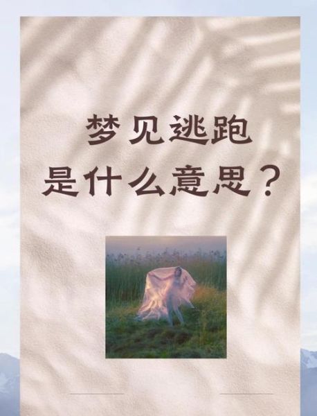 梦到孩子跑是什么意思_孩子跑丢在梦里暗示什么