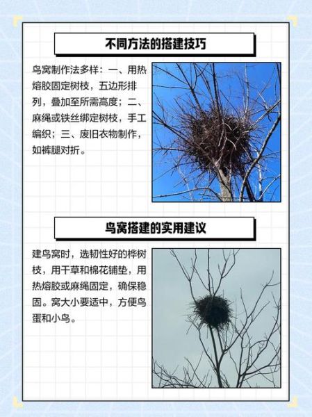 梦到鸟窝是什么意思_鸟窝梦境解析