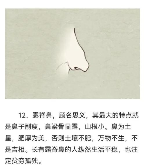 面相看财运_如何从五官判断财富运势