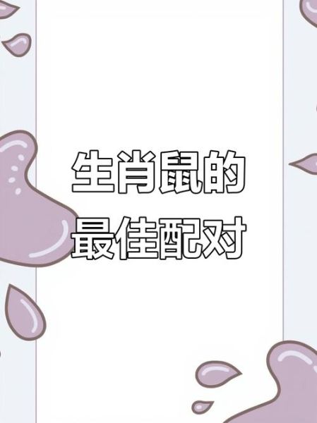 鼠和牛合不合财运_属鼠和属牛一起做生意能发财吗