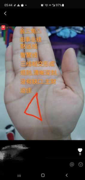 财运线怎么看_手相财运线解释