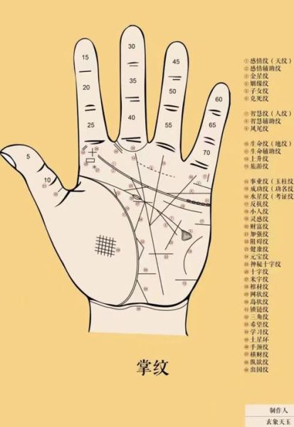 财运线金库在哪_怎么看手相图解