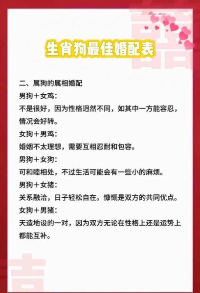 属狗适合什么属相婚配_属狗与哪些属相最合