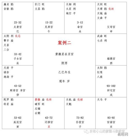 紫薇2020运势财运如何_2020年紫薇财运旺吗