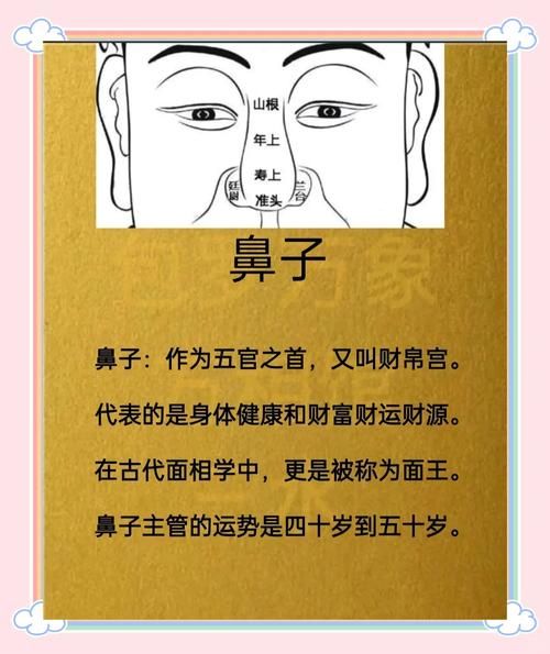 眉毛靠近鼻根财运_面相学可信吗
