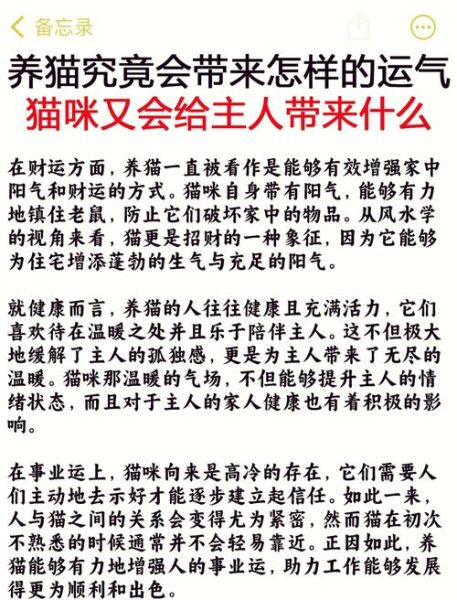 猫带财运么_养猫招财风水禁忌