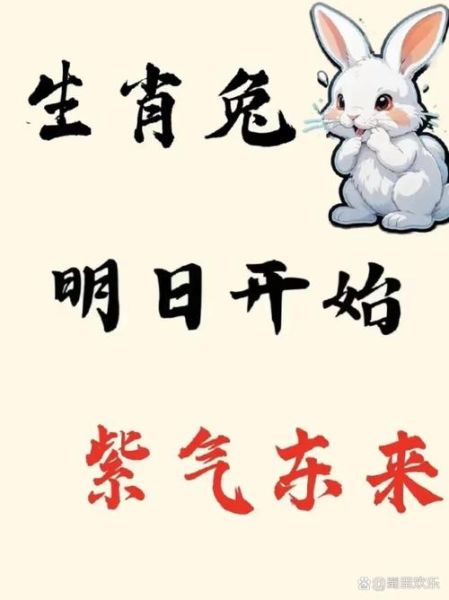 兔八月运势_2024年属兔人八月运势如何