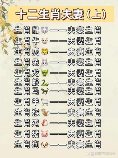 鼠和哪个属相不合_鼠马相冲如何化解