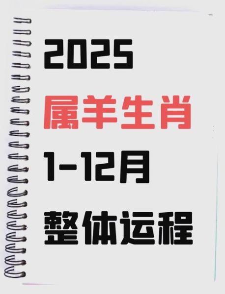 2003年属羊2024运势如何_属羊人2024年财运怎么样