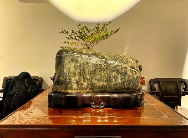 财运石头有哪些_财运石头怎么选