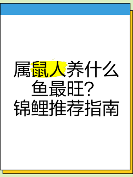 风水属相养鱼禁忌_属相养鱼数量怎么选
