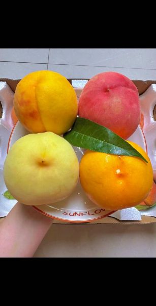 孕妇梦到桃子是生男孩吗_孕妇梦见桃子预示什么