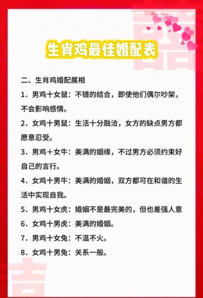 鸡和猪属相合不合_鸡猪配对婚姻财运好吗