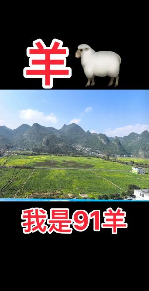 91年6月属羊2024年运势_91年6月属羊今年财运如何