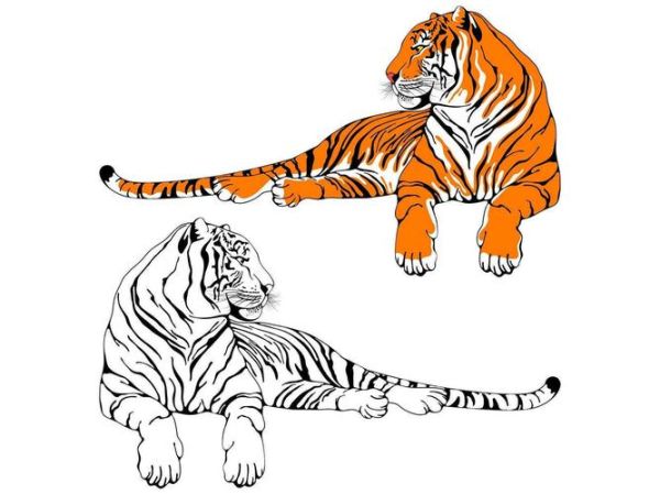 马配什么属相好_属马最佳婚配属相