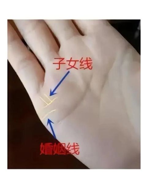 财运线怎么看_婚姻线分叉会离婚吗