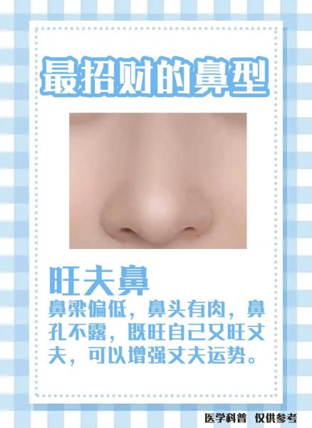 鼻子代表财运_鼻子看财运准吗