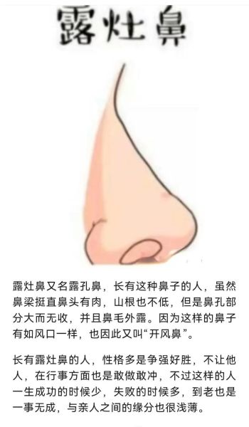 鼻子看财运图怎么看_鼻子财运图解大全